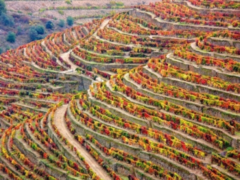 Douro Flusskreuzfahrt Douro Flusskreuzfahrt